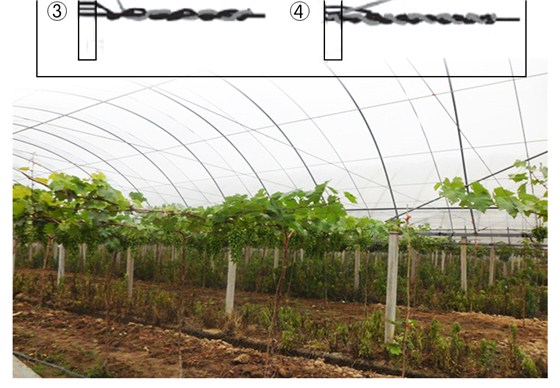 云农牌托膜线详_10