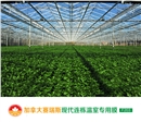 [雷马塑料]加拿大赛瑞斯F203连栋温室大棚膜 防老化大棚膜