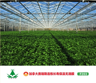 雷马F203连栋温室大棚膜 防老化大棚膜