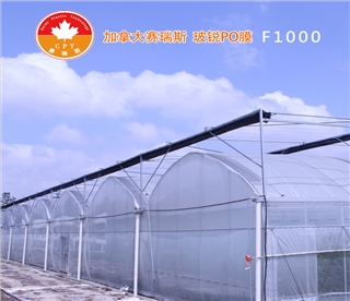 雷马 PO膜 F1000 长效流滴消雾膜