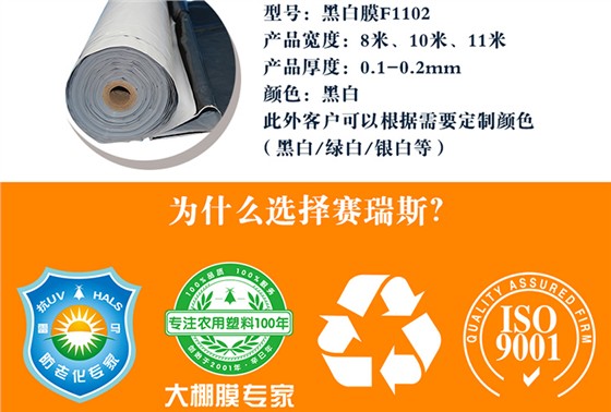 加拿大赛瑞斯进口黑白膜详情_03