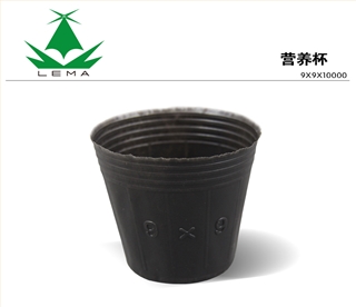 云农牌 营养杯 育苗杯 营养钵