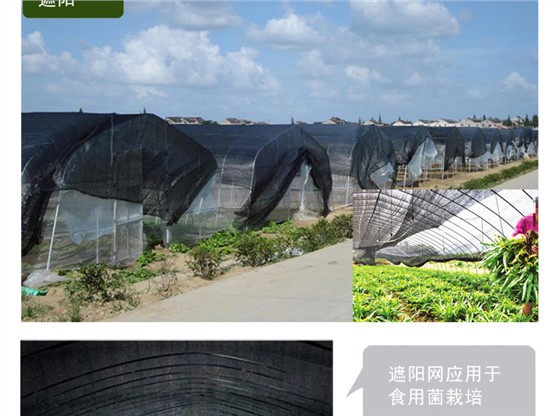 绿地牌三针遮阳网详情_11