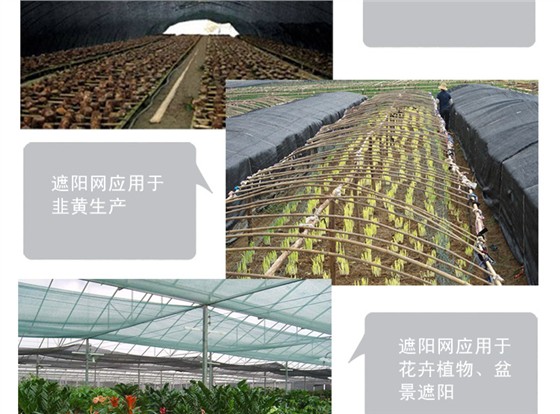绿地牌三针遮阳网详情_12