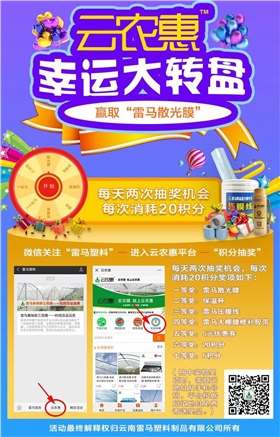 图片7 图片7