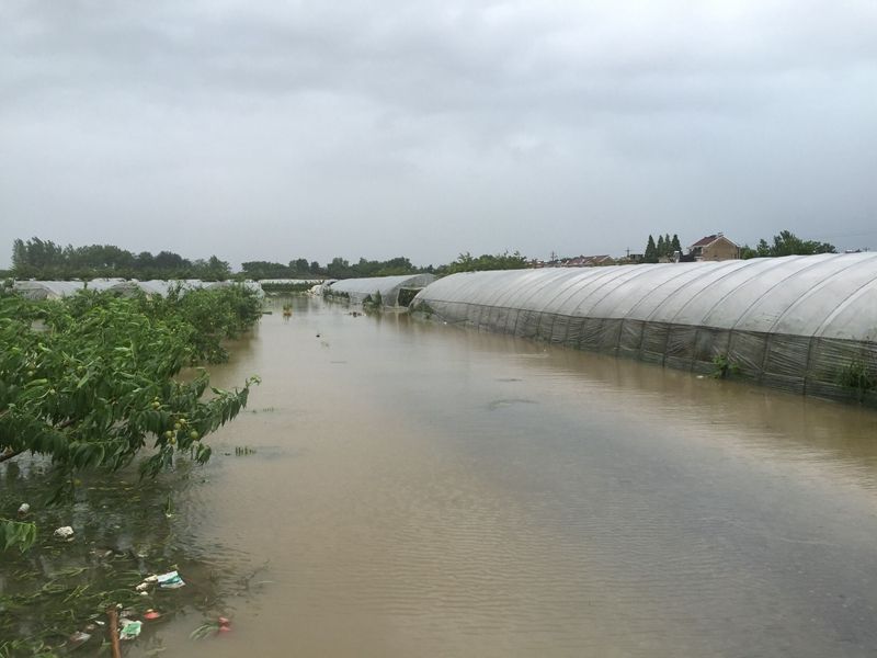 【雷马资讯】多地暴雨侵袭，大棚种植户该如何自处？