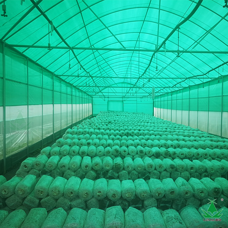 雷马绿白膜 食用菌绿白膜 菌子膜 香菇膜 遮光膜
