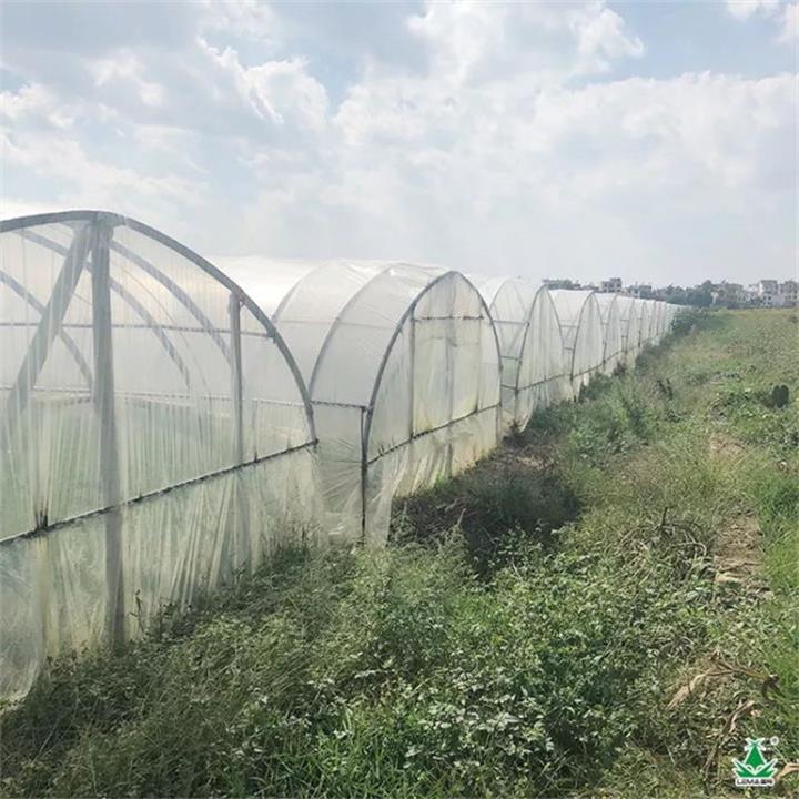 图片1_看图王