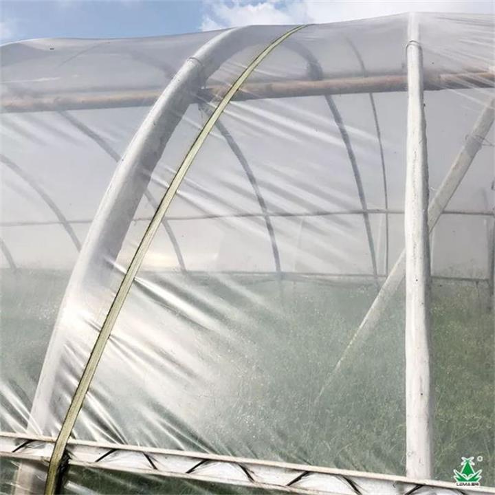 图片5_看图王