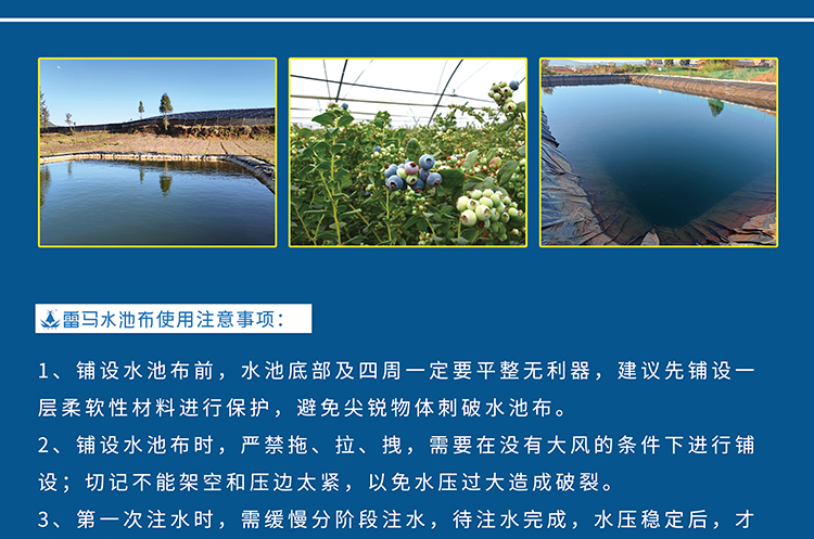 蓝莓专用水池布-B_01