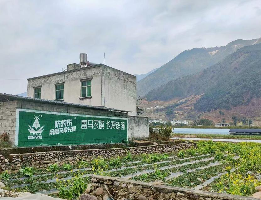 云南雷马研发葡萄专用散光膜，防灼伤功能助力西昌葡萄种植忙春耕 葡萄之乡抓农时，云南雷马散光膜积极推动西昌葡萄产业防灼伤建设