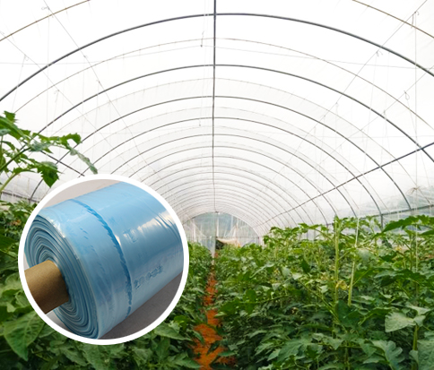 雷马长寿大棚边膜