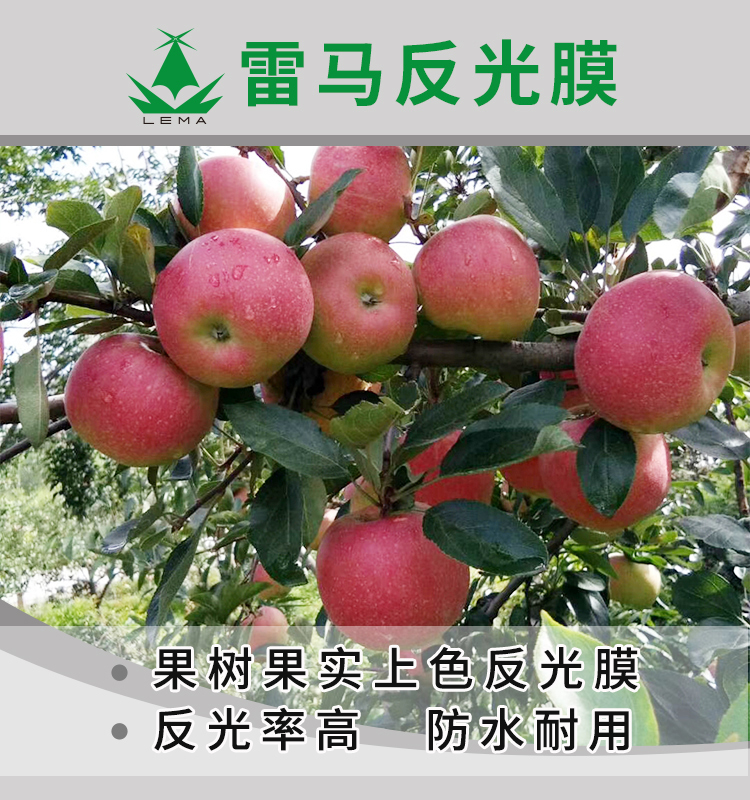 反光膜详情页_01