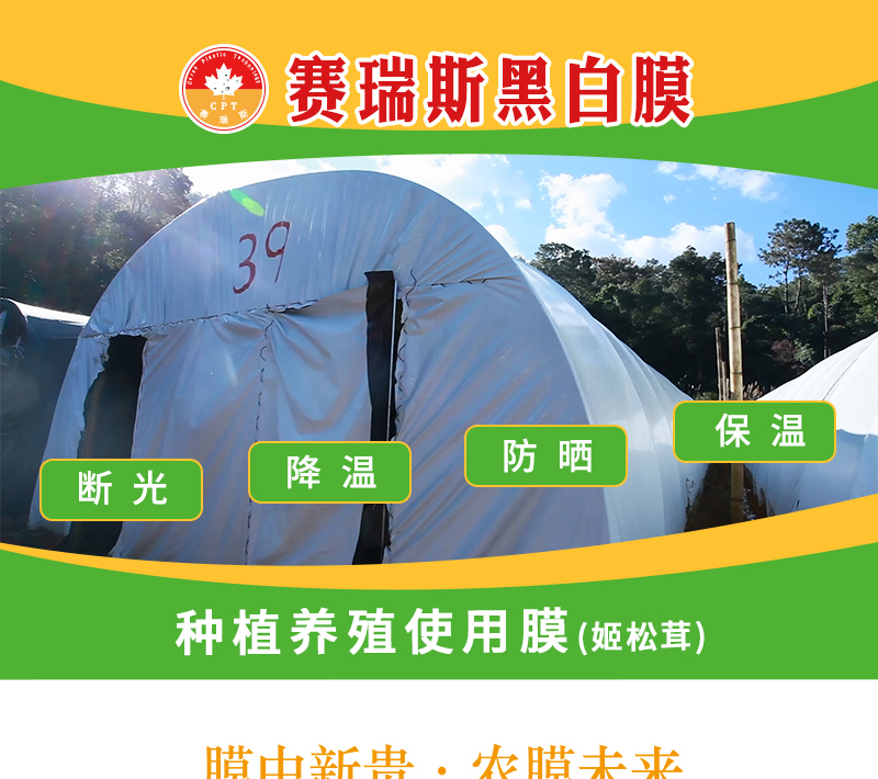 58.赛瑞斯黑白膜_01