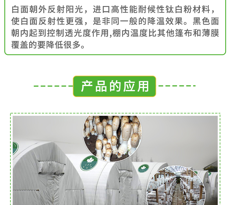 58.赛瑞斯黑白膜_03