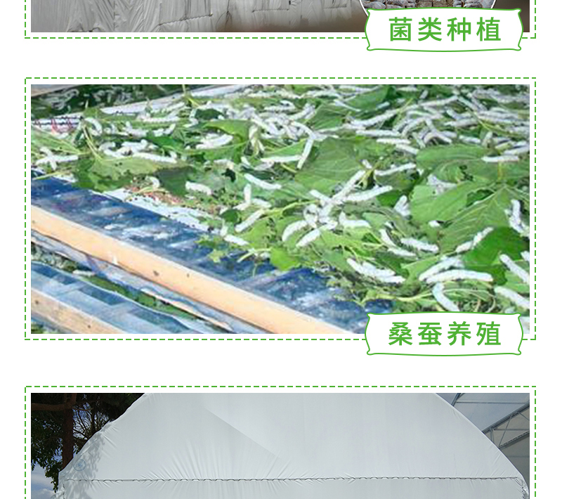 58.赛瑞斯黑白膜_04