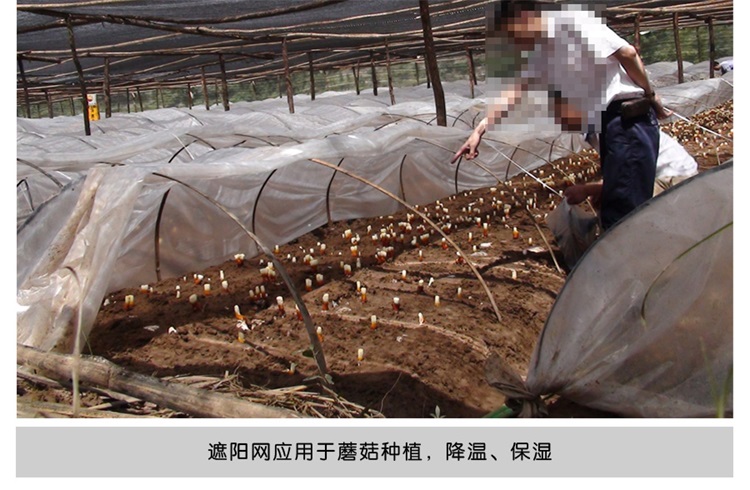 亿农牌三针遮阳网详情_15